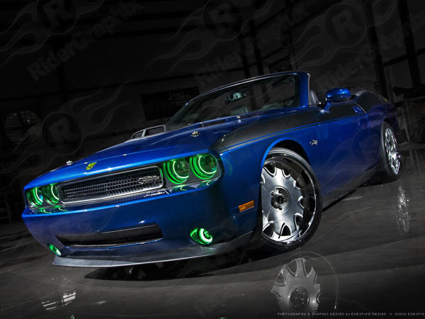 2008 - Up Dodge Challenger Full Body Length Upper Side Stripes