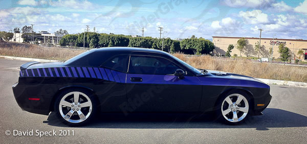 2008 - Up Dodge Challenger Full Body Length Upper Side Stripes