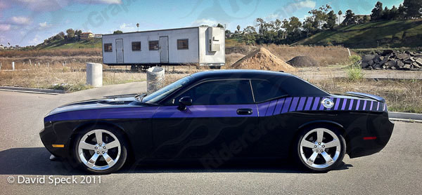 2008 - Up Dodge Challenger Full Body Length Upper Side Stripes