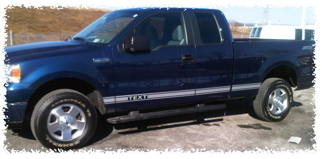 2009 & Up Ford F150 Rocker Panel Stripes