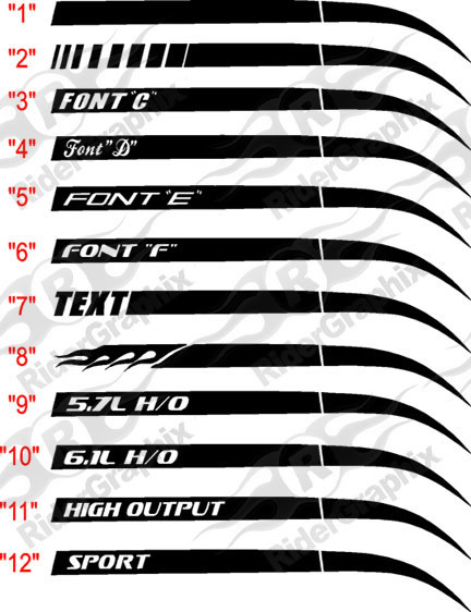 2006 - 2010 Charger Stinger Q.P. Stripe Kits