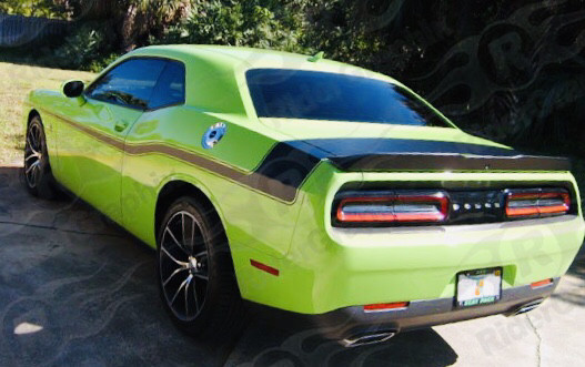 2008 - Up Dodge Challenger Mopar 14 Style Side Stripes