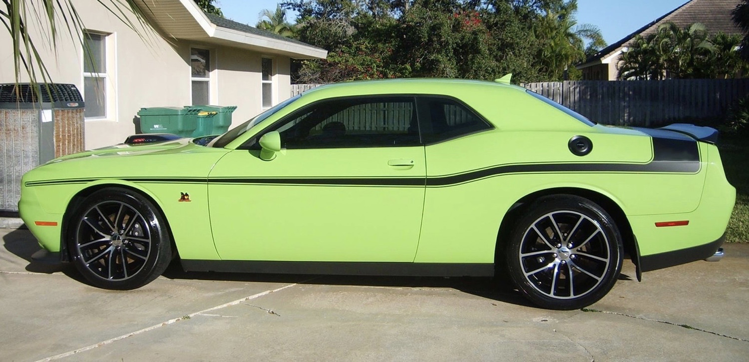 2008 - Up Dodge Challenger Mopar 14 Style Side Stripes