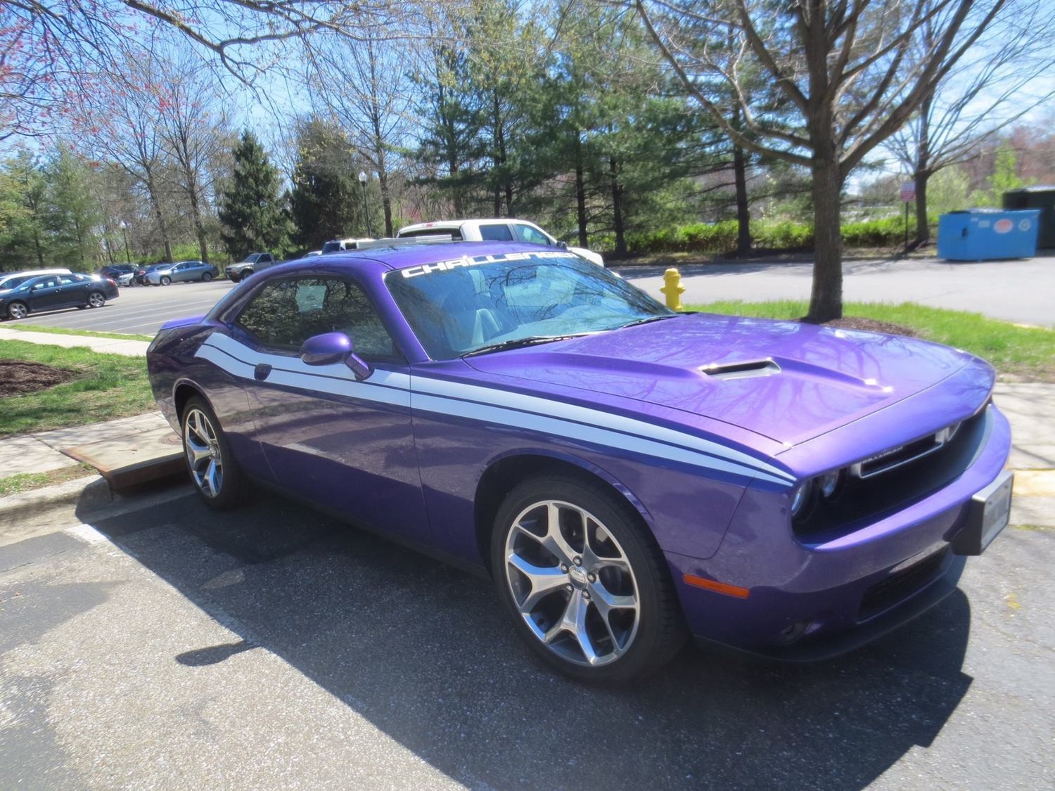 2008 - Up Dodge Challenger 71 RT Style Side Stripes