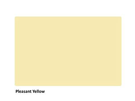 Alpina Pittura colorata Living Style Pleasant Yellow 2,5Litri