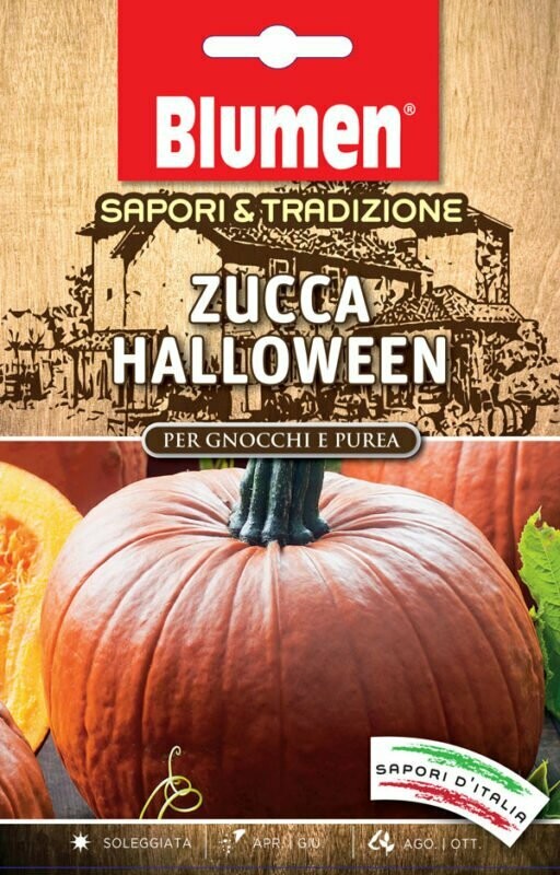 Blumen Zucca Halloween