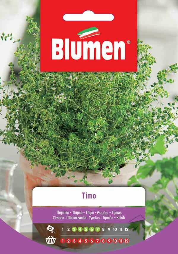 Blumen Timo