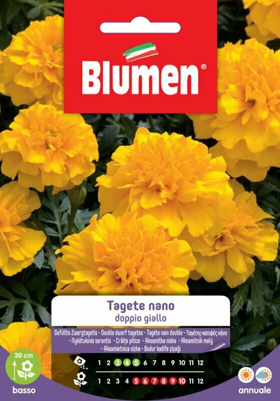 Blumen Tagete nano doppio giallo