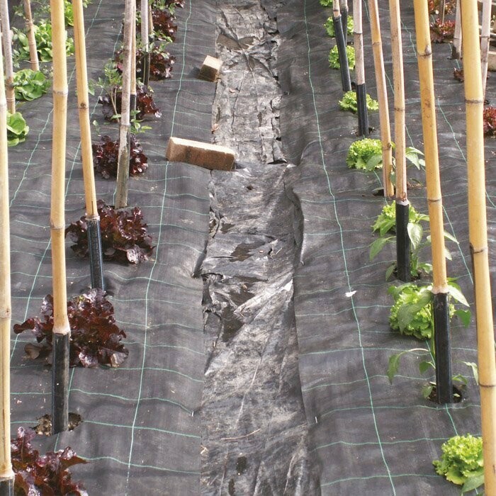 Mondo Verde Telo pacciamatura
