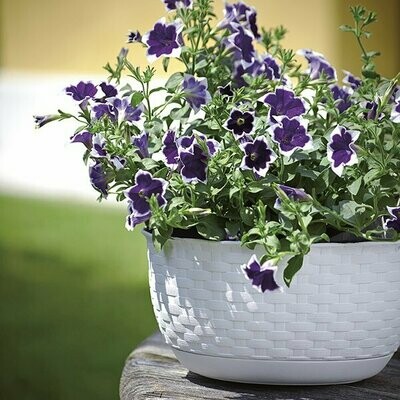 Ciotola "Natural" rattan ø 30cm  Bianco