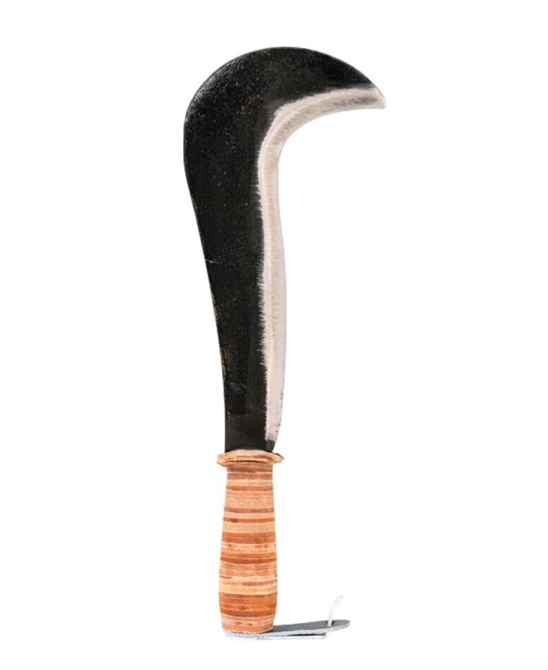Roncola standard
