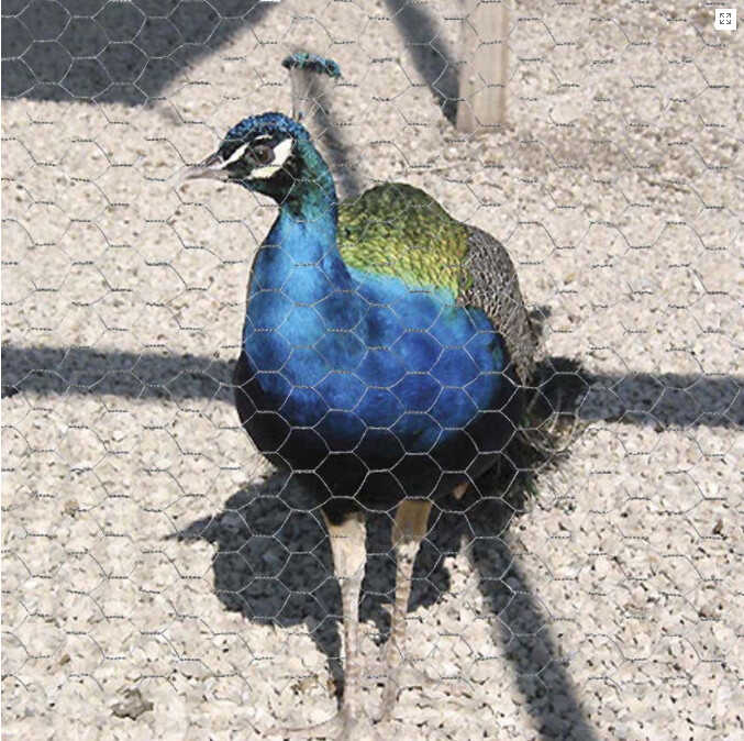 Rete metallica esegonale h.100cm