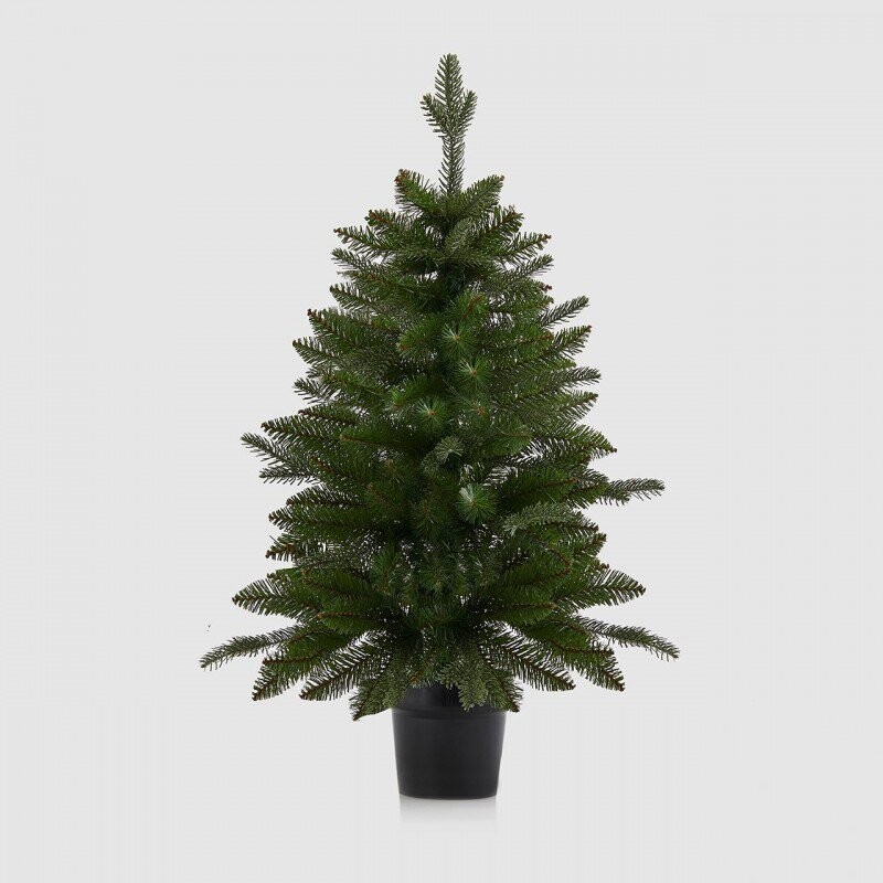 Pino con vaso Edg h.90cm Pino con vaso Edg h.90cm