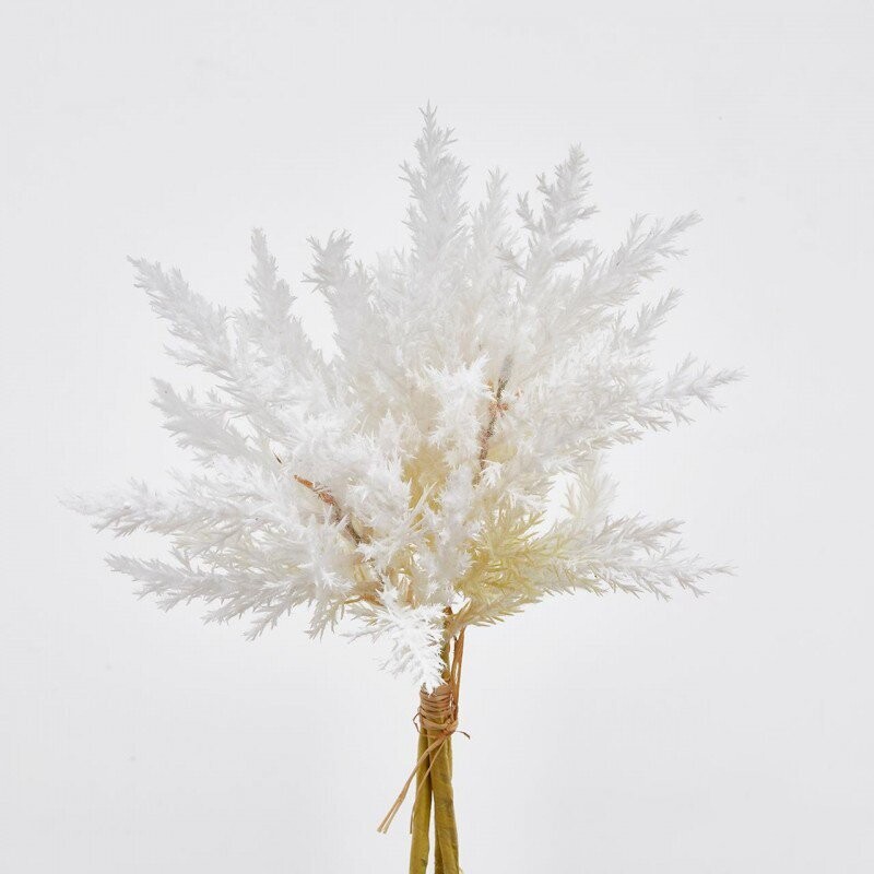 Mazzo canna palustre "Dry" ivory