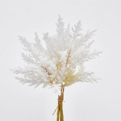 Mazzo canna palustre "Dry" ivory