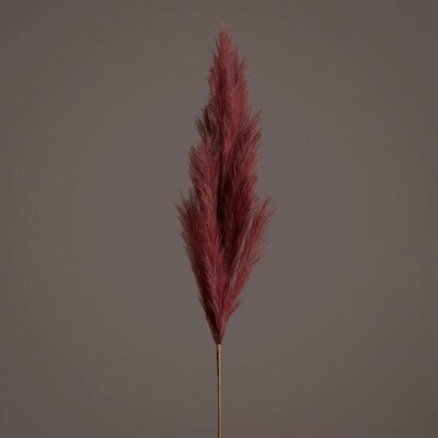 Pampas ramo Purple