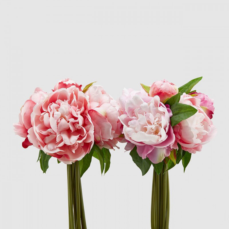 Mazzo peonia "Olis"