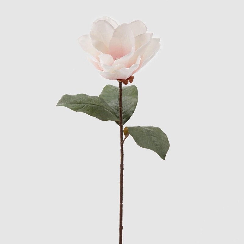 Magnolia ramo rosa