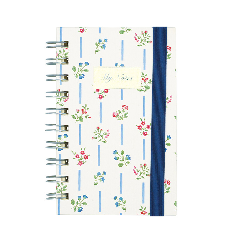 Agenda "Hanna"
