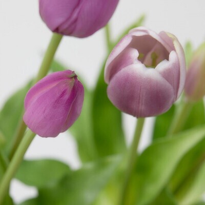 Mazzo tulipani "Real touch" lilla