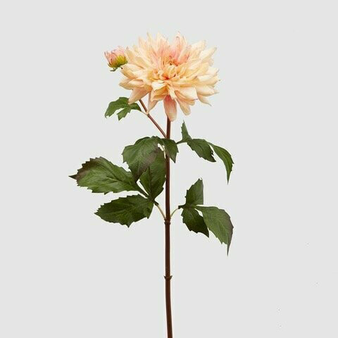 Dalia "Dea"
