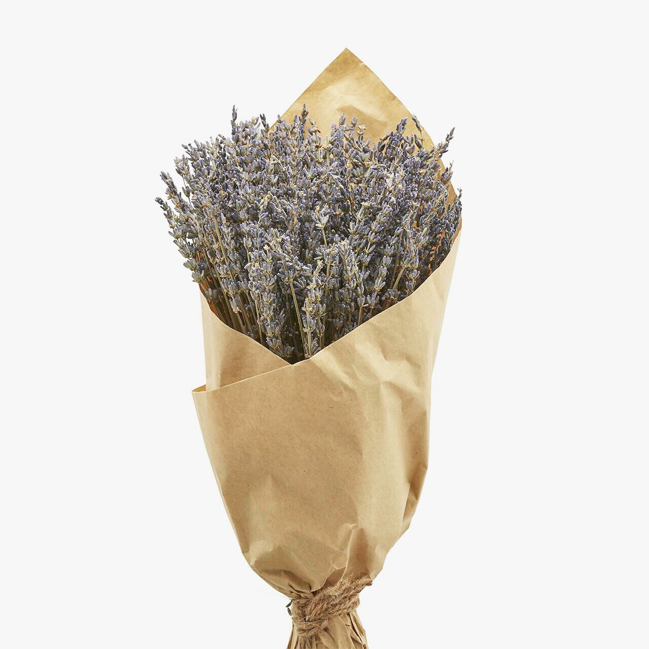 Lavanda mazzo essiccata