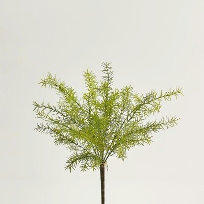 Asparagus articiale