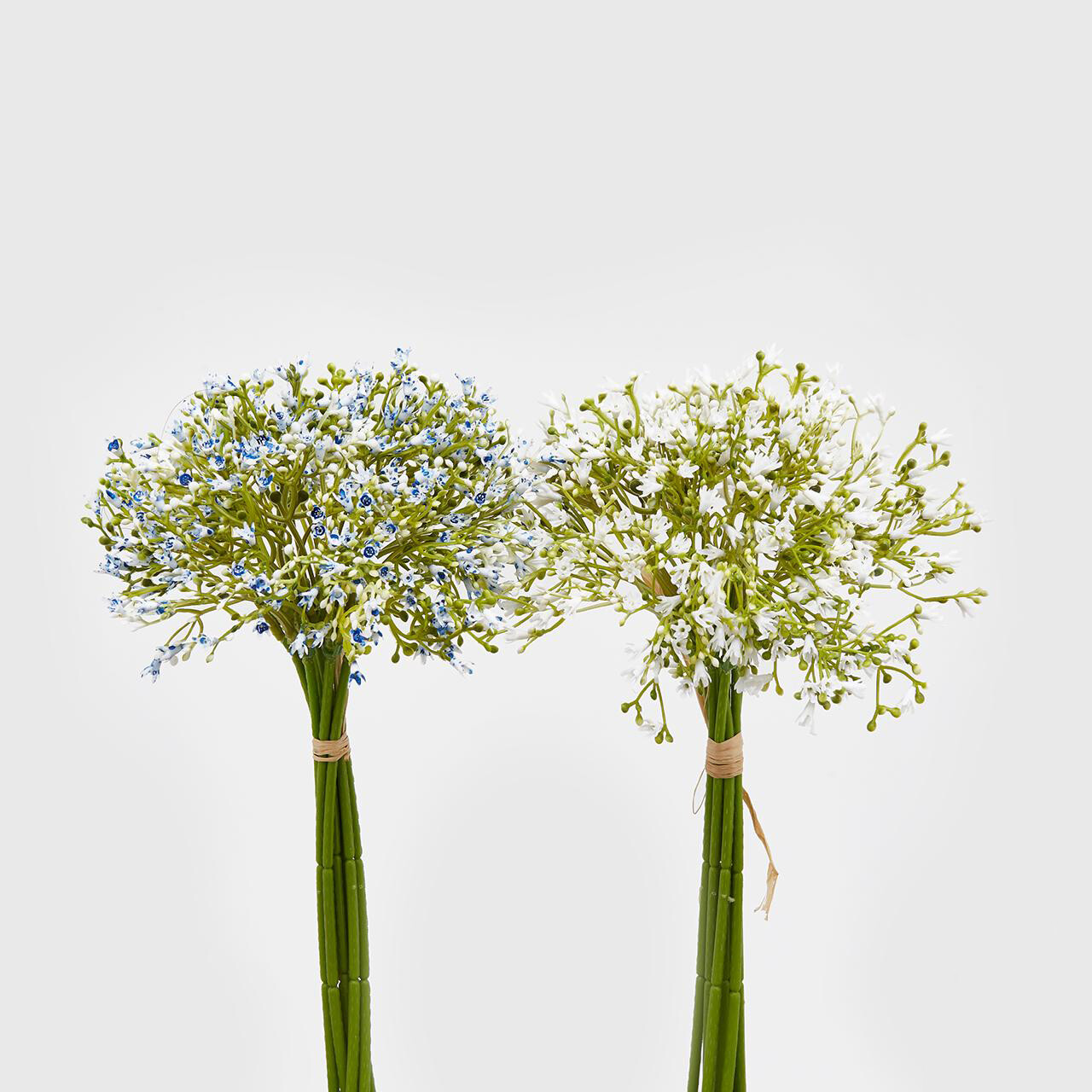 Mazzo gypsophila chic, Colore: Azzurro