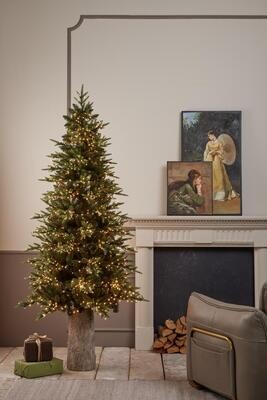 Pino NEW Luxury 2022 EDG con led h.180cm Pino NEW Luxury 2022 EDG con led h.180cm