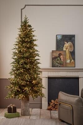 Pino NEW Luxury 2022 EDG con led h.210cm Pino NEW Luxury 2022 EDG con led h.210cm