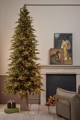 Pino NEW Luxury 2022 EDG con led h.240cm Pino NEW Luxury 2022 EDG con led h.240cm