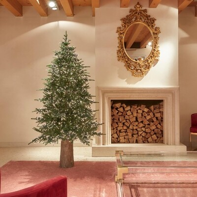 Pino Spark EDG con led h.180cm Pino Spark EDG con led h.180cm