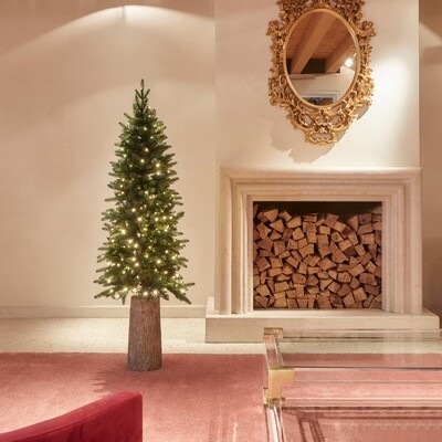 Pino Slim EDG con LED h.150cm Pino Slim EDG con LED h.150cm