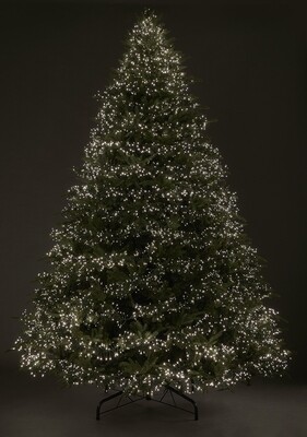 Pino Spark EDG con led h.365cm Pino Spark EDG con led h.365cm