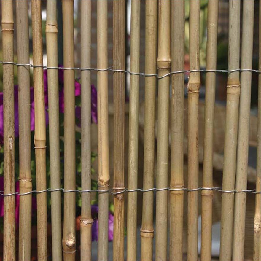 Arella bamboo 1,5x3mt