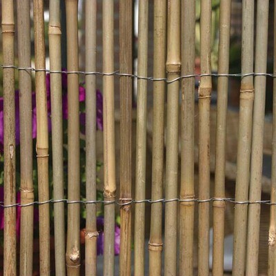 Arella bamboo 2x3mt
