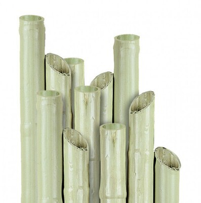 Canna bamboo in plastica