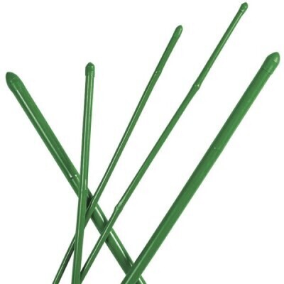 Canna bamboo plastificata