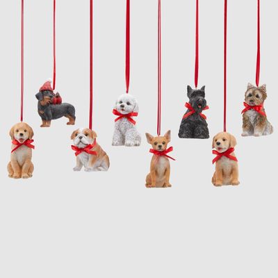 Decoro cagnolini