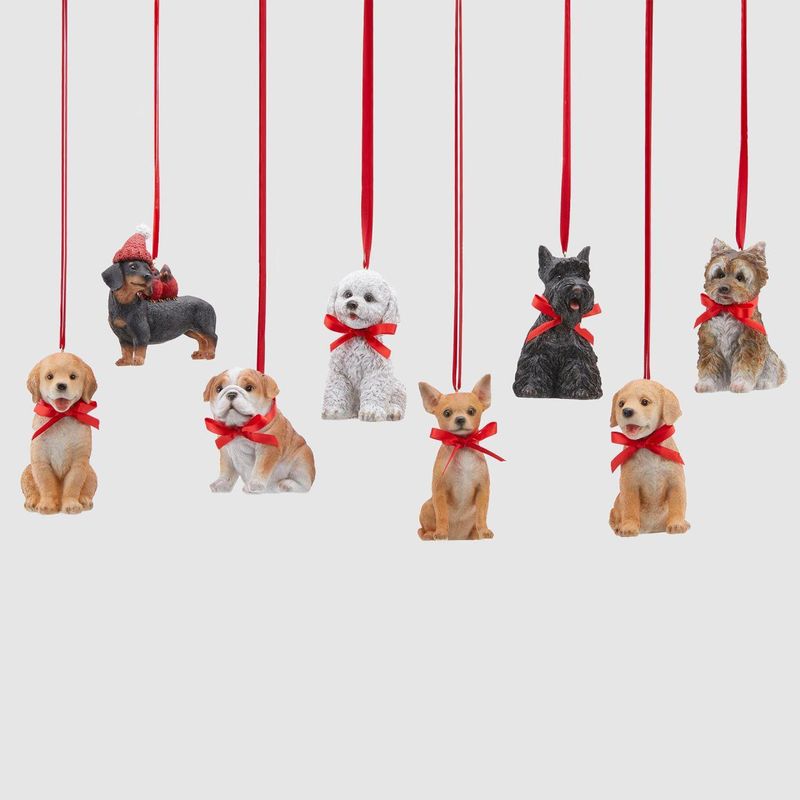 Decoro cagnolini