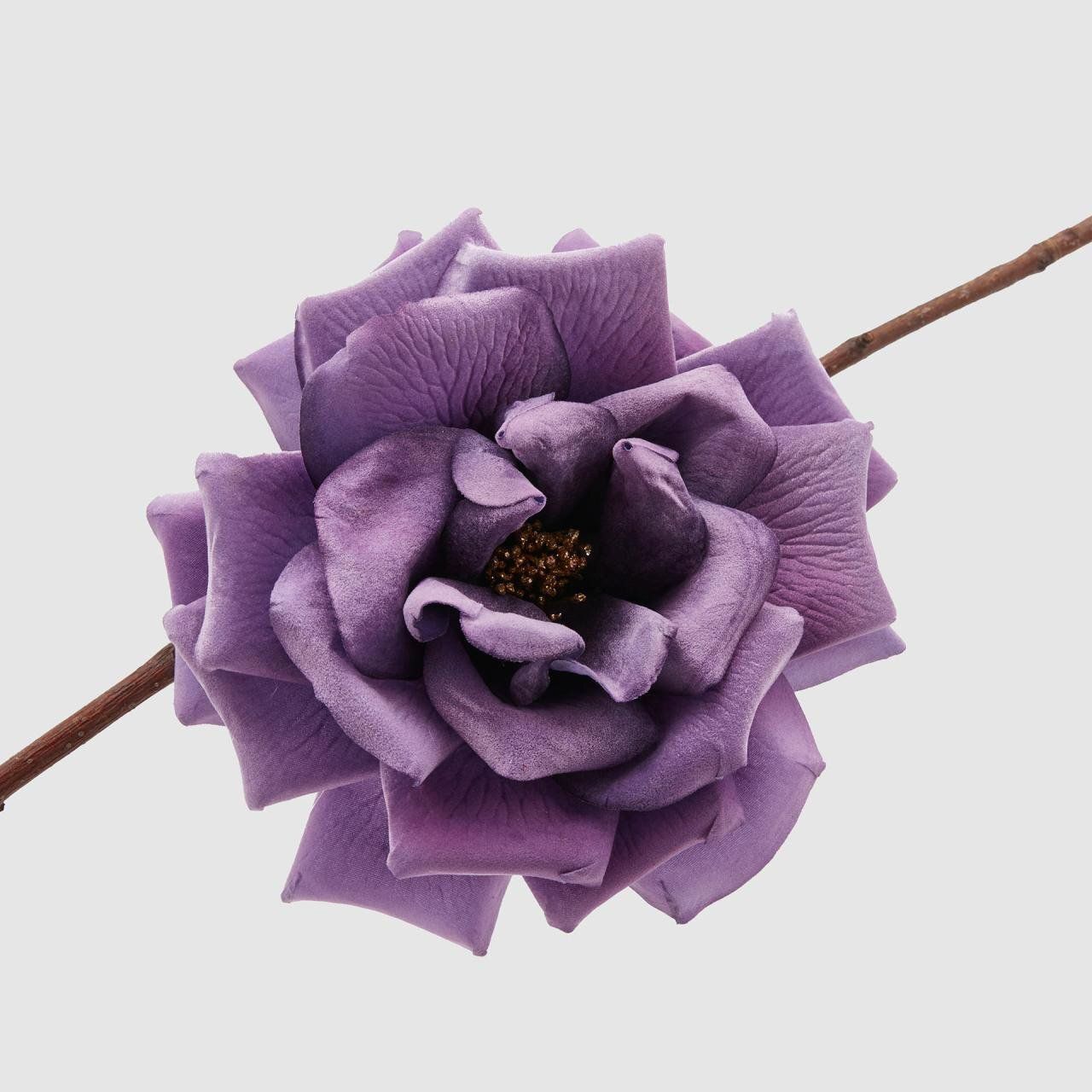 Rosa con clip