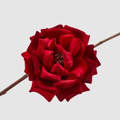 Rosa con clip