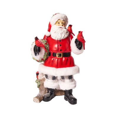 Babbo Natale uccellini