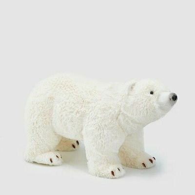 Orso polare pelosone