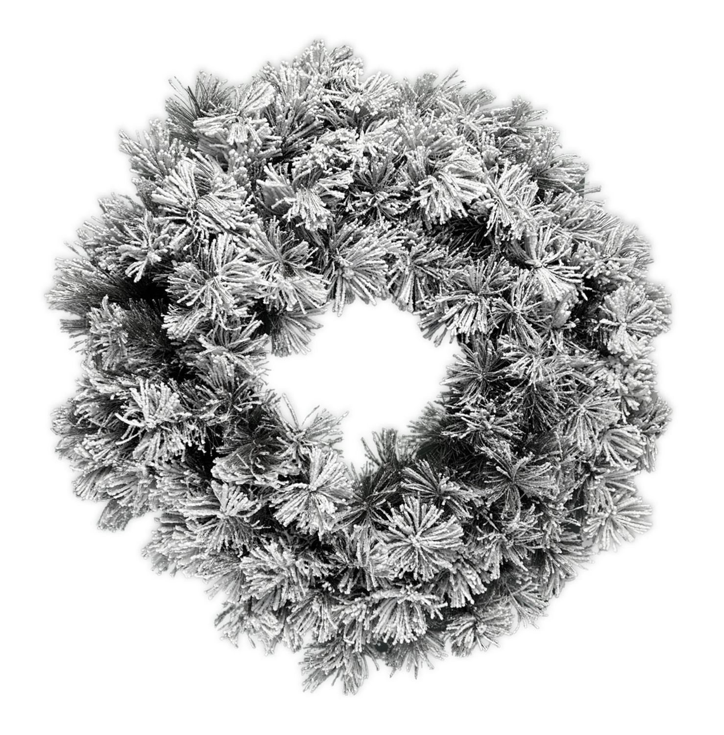 Corona innevata