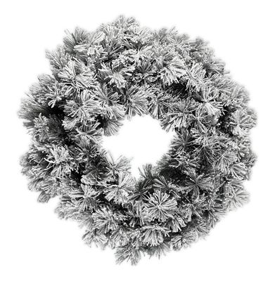Corona innevata Corona innevata