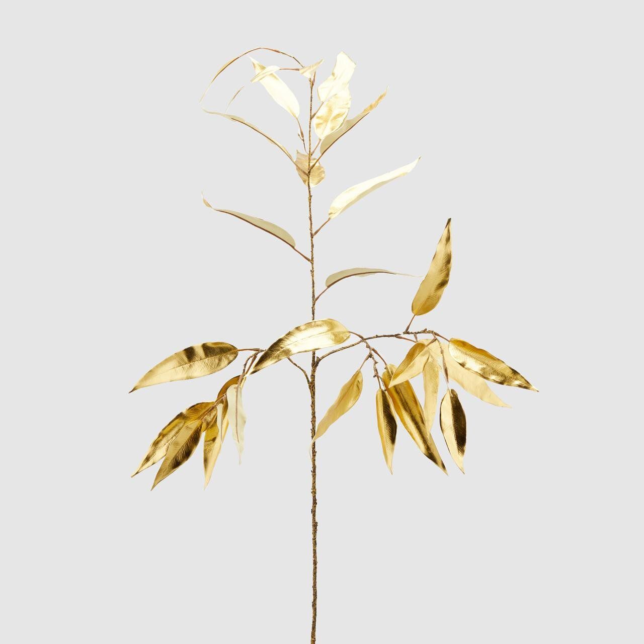Eucalipto metal gold