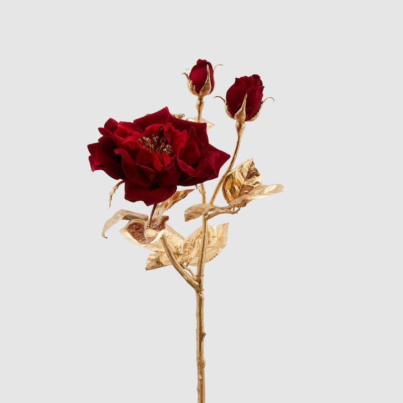 Rosa ramo stelo