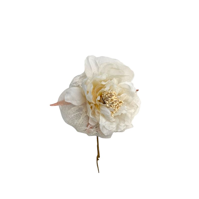Peonia tessuto Peonia tessuto