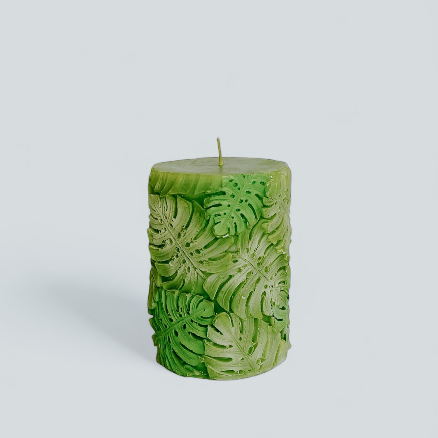 Candela monstera